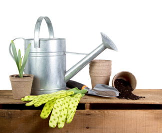 Storing Gardening Gloves in a Tennis Ball Container Image